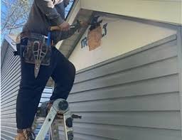 Best Historical Building Siding Restoration  in Red Bud, IL